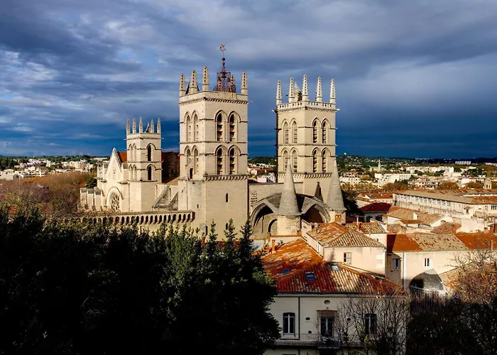 Hôtel accueillant les animaux: Best Western Hotel Le Guilhem